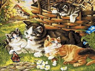 Norimpex Cat family 30 × 40 cm - Diamond Painting