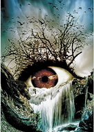 Norimpex Eye 30 × 40 cm - Diamond Painting