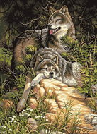 Norimpex Vlci v lese 30 × 40 cm - Diamond Painting