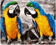 Norimpex Parrots 30 × 40 cm - Diamond Painting