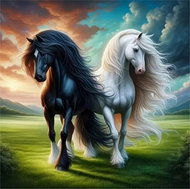 Norimpex Černá a bílá 30 × 40 cm - Diamond Painting
