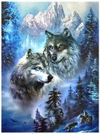 Norimpex Dva vlci v horách 30 × 40 cm - Diamond Painting