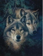 Norimpex Vlci v borovicích 30 × 40 cm - Diamond Painting