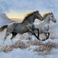 Norimpex Koně 30 × 40 cm - Diamond Painting