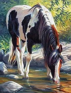Norimpex Horse in the river 30 × 40 cm - Diamond Painting