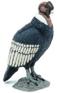PAPO Condor - Figure