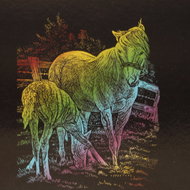 EDEN Scratch-off picture rainbow A5 horse with foal - Scratch Pictures