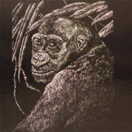 EDEN Vyškrabavací obrázek stříbrný A5 gorila - Vyškrabávací obrázky