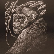 EDEN Scratch-off picture silver A5 gorilla - Scratch Pictures