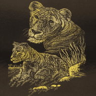 EDEN Scratch-off picture gold A5 Lioness with cub - Scratch Pictures