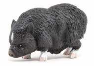 PAPO Vietnamese pig - Figure