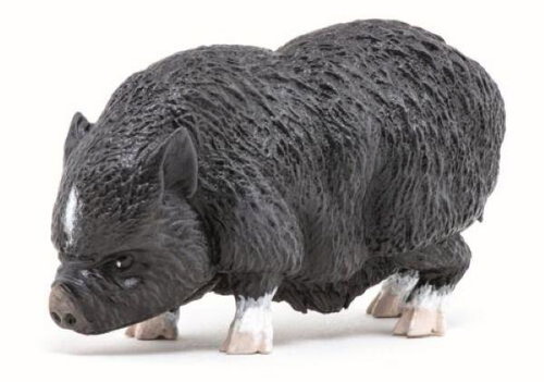 PAPO Vietnamese pig - Figure - Main image