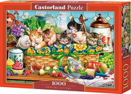 CASTORLAND Puzzle Sleeping kittens 1000 pieces - Jigsaw Puzzle