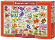 CASTORLAND Flower Herbarium Puzzle 1000 pieces - Jigsaw Puzzle