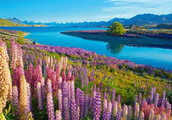 CASTORLAND Puzzle Lake Tekapo, New Zealand 500 pieces - Jigsaw Puzzle