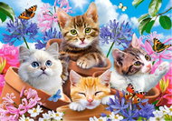 CASTORLAND Puzzle Kittens with flowers 500 pieces - Jigsaw Puzzle