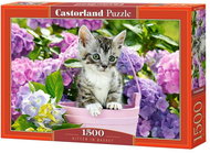 CASTORLAND Puzzle Cat in the basket 1500 pieces - Jigsaw Puzzle