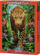 CASTORLAND Puzzle Leopard v divočině 2000 dílků - Puzzle