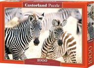CASTORLAND Puzzle Young Zebras 1000 pieces - Jigsaw Puzzle