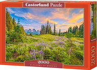 CASTORLAND Puzzle Morning Flowers 2000 pieces - Jigsaw Puzzle
