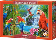 CASTORLAND Parrot Encounter Puzzle 2000 pieces - Jigsaw Puzzle