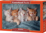 CASTORLAND Puzzle Sweet Kittens 1000 pieces - Jigsaw Puzzle