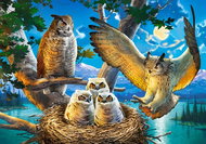 CASTORLAND Owl Family Puzzle 500 pieces - Jigsaw Puzzle