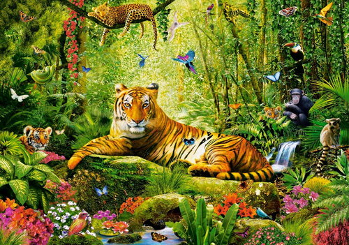 CASTORLAND Tiger Majesty Puzzle 500 pieces - Jigsaw Puzzle - Main image