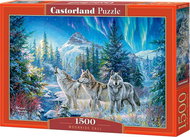 CASTORLAND Puzzle Call of the Moon 1500 pieces - Jigsaw Puzzle