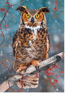 CASTORLAND Eared Otter Puzzle 500 pieces - Jigsaw Puzzle