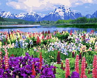Centrum malování podle čísel hory 30×40 cm - Painting by Numbers