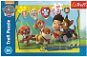 Puzzle Paw patrol Ryder and friends - Jigsaw