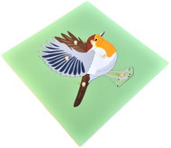 Puzzle with a skeleton - a bird - Jigsaw Puzzle