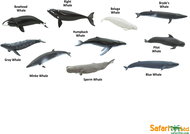 Safari Ltd. Tube - Whales - Figure
