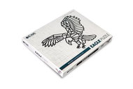 Ewa Eco-Wood-Art Wall Puzzle Eagle - 3D Puzzle