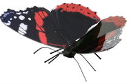 Metal Earth 3D Puzzle Butterfly Admiral Butterfly - 3D Puzzle