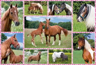 Schmidt Puzzle Beautiful Horses 150 pieces - Jigsaw Puzzle