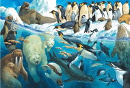 Schmidt Puzzle Animals beyond the Arctic Circle 100 pieces - Jigsaw Puzzle