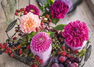 Schmidt Puzzle Flowers and Fruits 1000 pieces - Jigsaw Puzzle