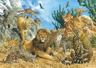 Schmidt Puzzle Cats 500 pieces - Jigsaw Puzzle