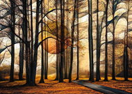 Schmidt Puzzle Magic Forest 1000 pieces - Jigsaw Puzzle