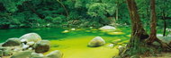 Schmidt Panoramic Puzzle Mossman Gorge, Australia 1000 pieces - Jigsaw Puzzle