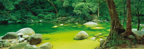 Schmidt Panoramic Puzzle Mossman Gorge, Australia 1000 pieces - Jigsaw Puzzle - Main image