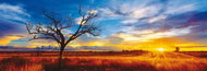 Schmidt Panoramic Puzzle Oak Tree at Sunset 1000 pieces - Jigsaw Puzzle