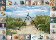 Schmidt Puzzle Memories of the Beach 1000 pieces - Jigsaw Puzzle