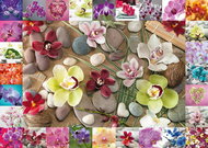 Schmidt Puzzle Orchids 1000 pieces - Jigsaw Puzzle