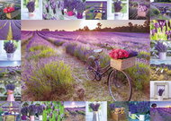 Schmidt Puzzle The Scent of Lavender 1000 pieces - Jigsaw Puzzle