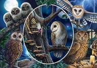 Schmidt Puzzle Mysterious Owls 1000 pieces - Jigsaw Puzzle
