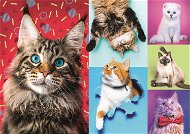 Trefl Puzzle Veselé kočky 1000 dílků - Puzzle