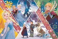Trefl Puzzle Frozen: Magical Memories 260 pieces - Jigsaw Puzzle